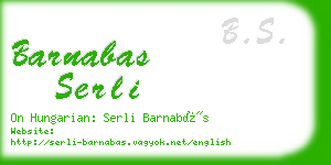 barnabas serli business card